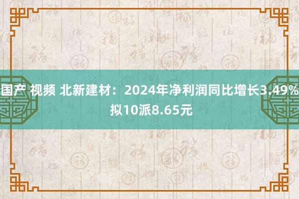 国产 视频 北新建材：2024年净利润同比增长3.49% 拟10派8.65元