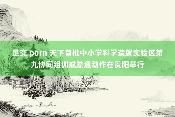 足交 porn 天下首批中小学科学造就实验区第九协同组训戒疏通动作在贵阳举行