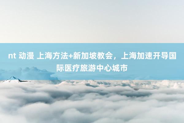 nt 动漫 上海方法+新加坡教会，上海加速开导国际医疗旅游中心城市