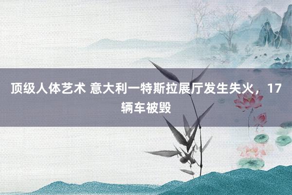 顶级人体艺术 意大利一特斯拉展厅发生失火，17辆车被毁