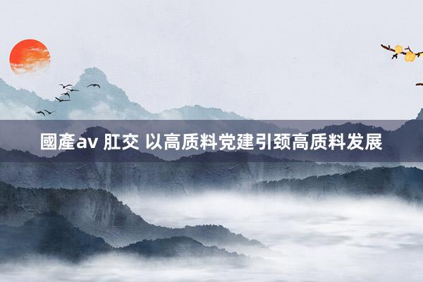 國產av 肛交 以高质料党建引颈高质料发展