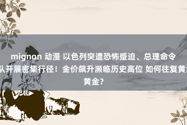 mignon 动漫 以色列突遭恐怖蹙迫、总理命令部队开展密集行径！金价飙升濒临历史高位 如何往复黄金？