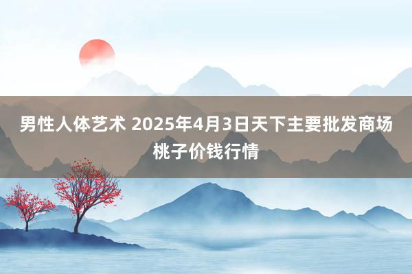 男性人体艺术 2025年4月3日天下主要批发商场桃子价钱行情