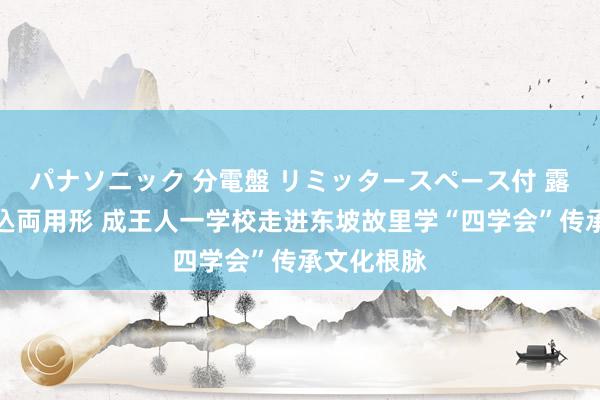 パナソニック 分電盤 リミッタースペース付 露出・半埋込両用形 成王人一学校走进东坡故里学“四学会”传承文化根脉