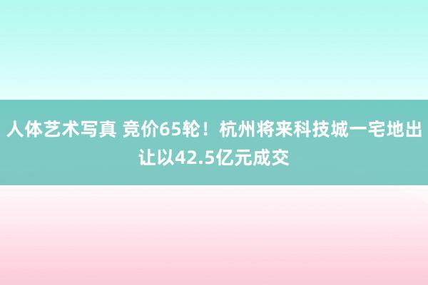 人体艺术写真 竞价65轮！杭州将来科技城一宅地出让以42.5亿元成交