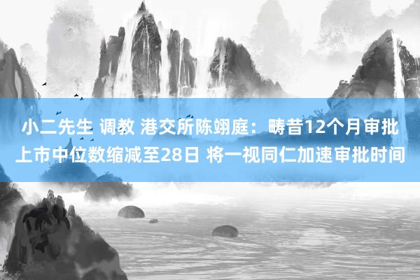 小二先生 调教 港交所陈翊庭：畴昔12个月审批上市中位数缩减至28日 将一视同仁加速审批时间