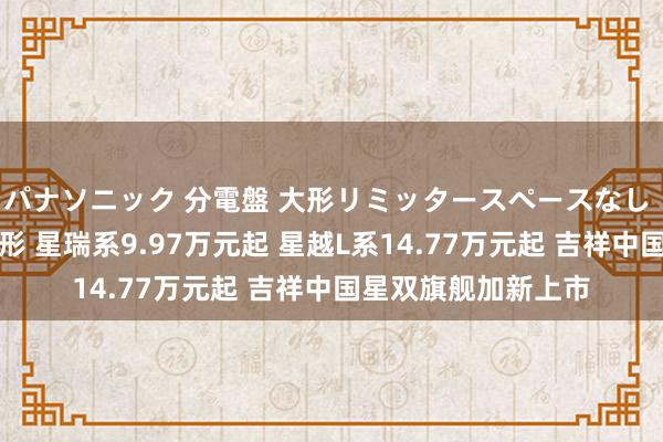 パナソニック 分電盤 大形リミッタースペースなし 露出・半埋込両用形 星瑞系9.97万元起 星越L系14.77万元起 吉祥中国星双旗舰加新上市