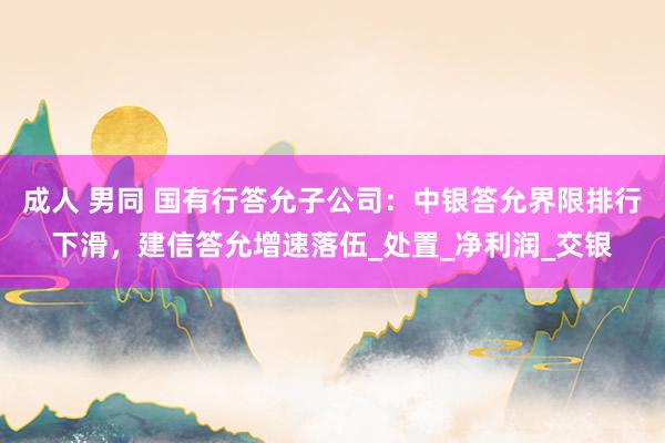 成人 男同 国有行答允子公司：中银答允界限排行下滑，建信答允增速落伍_处置_净利润_交银