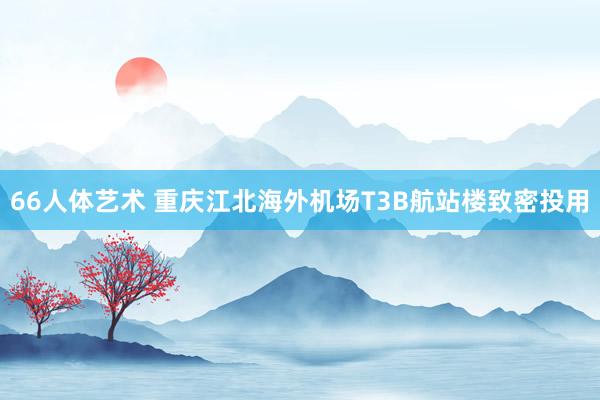 66人体艺术 重庆江北海外机场T3B航站楼致密投用
