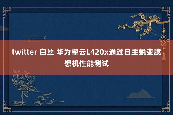 twitter 白丝 华为擎云L420x通过自主蜕变臆想机性能测试