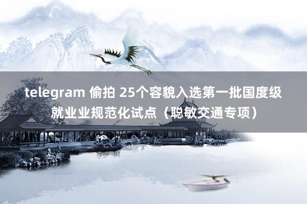 telegram 偷拍 25个容貌入选第一批国度级就业业规范化试点（聪敏交通专项）