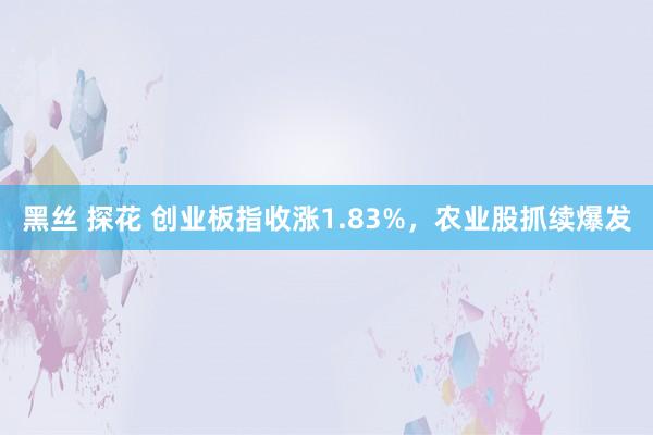 黑丝 探花 创业板指收涨1.83%，农业股抓续爆发