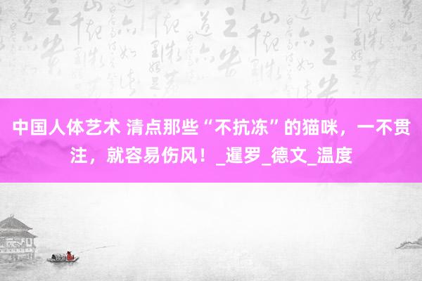中国人体艺术 清点那些“不抗冻”的猫咪，一不贯注，就容易伤风！_暹罗_德文_温度