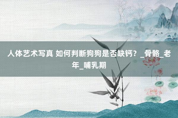 人体艺术写真 如何判断狗狗是否缺钙？_骨骼_老年_哺乳期