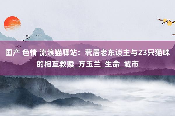 国产 色情 流浪猫驿站：茕居老东谈主与23只猫咪的相互救赎_方玉兰_生命_城市