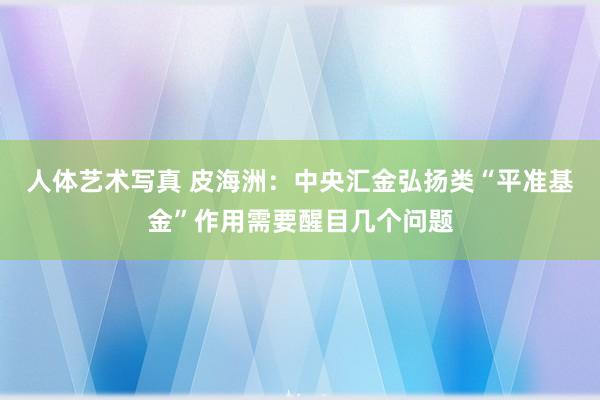 人体艺术写真 皮海洲：中央汇金弘扬类“平准基金”作用需要醒目几个问题