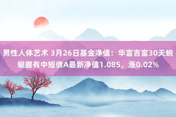 男性人体艺术 3月26日基金净值：华富吉富30天蜿蜒握有中短债A最新净值1.085，涨0.02%