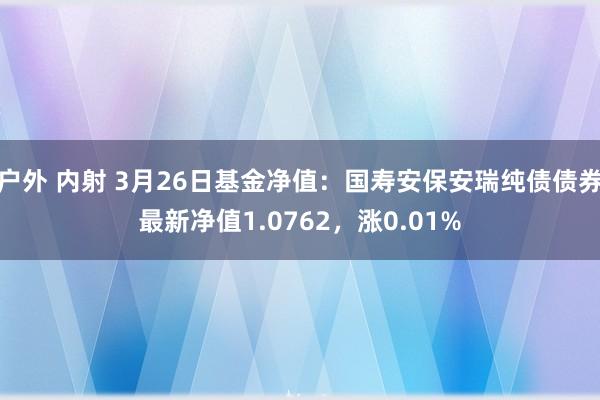 户外 内射 3月26日基金净值：国寿安保安瑞纯债债券最新净值1.0762，涨0.01%