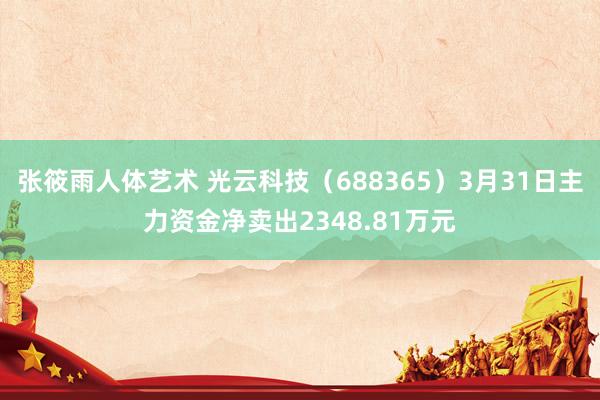 张筱雨人体艺术 光云科技（688365）3月31日主力资金净卖出2348.81万元