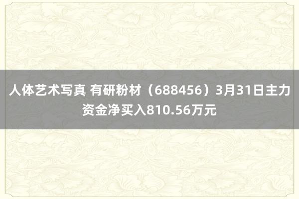 人体艺术写真 有研粉材（688456）3月31日主力资金净买入810.56万元