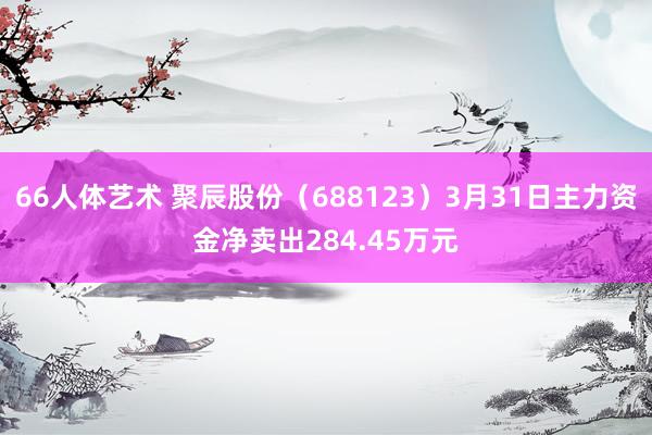 66人体艺术 聚辰股份（688123）3月31日主力资金净卖出284.45万元