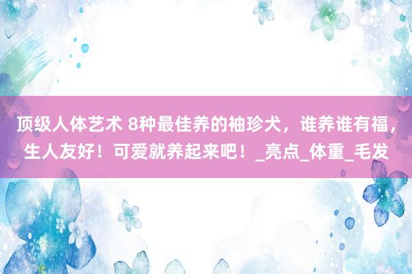 顶级人体艺术 8种最佳养的袖珍犬，谁养谁有福，生人友好！可爱就养起来吧！_亮点_体重_毛发