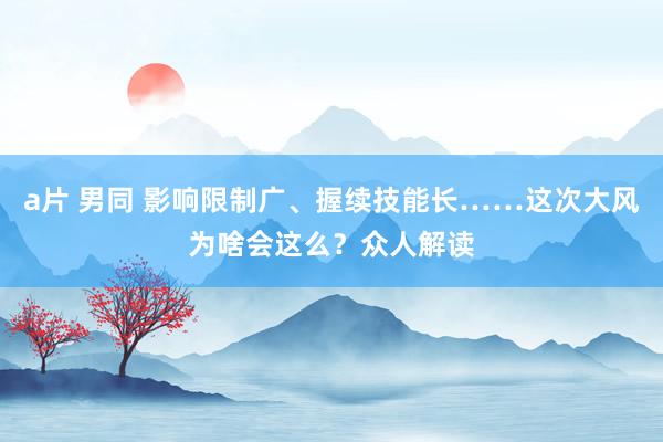 a片 男同 影响限制广、握续技能长……这次大风为啥会这么？众人解读