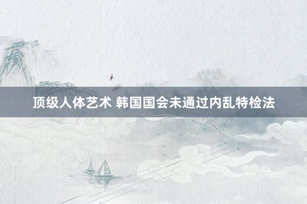 顶级人体艺术 韩国国会未通过内乱特检法
