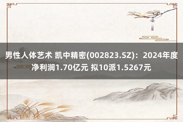 男性人体艺术 凯中精密(002823.SZ)：2024年度净利润1.70亿元 拟10派1.5267元