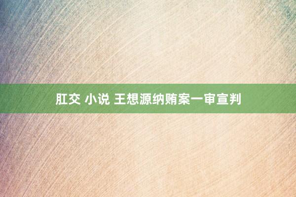 肛交 小说 王想源纳贿案一审宣判