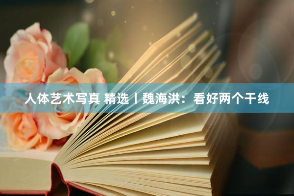 人体艺术写真 精选丨魏海洪:看好两个干线