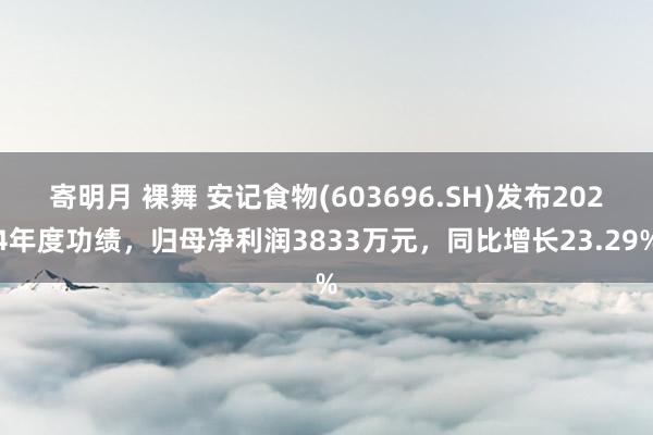 寄明月 裸舞 安记食物(603696.SH)发布2024年度功绩，归母净利润3833万元，同比增长23.29%