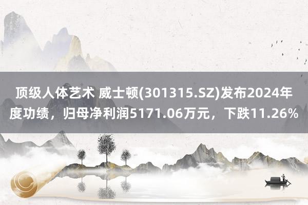 顶级人体艺术 威士顿(301315.SZ)发布2024年度功绩，归母净利润5171.06万元，下跌11.26%