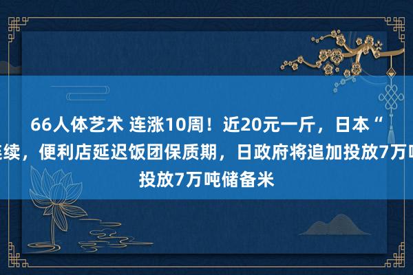 66人体艺术 连涨10周！近20元一斤，日本“米荒”连续，便利店延迟饭团保质期，日政府将追加投放7万吨储备米