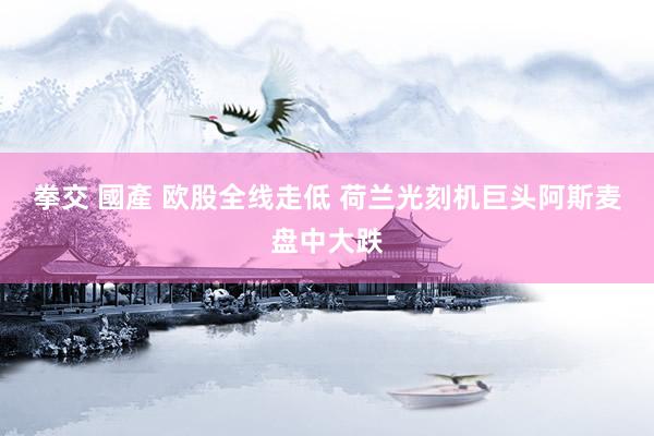 拳交 國產 欧股全线走低 荷兰光刻机巨头阿斯麦盘中大跌