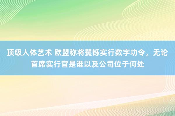 顶级人体艺术 欧盟称将矍铄实行数字功令，无论首席实行官是谁以及公司位于何处