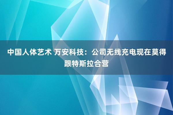中国人体艺术 万安科技：公司无线充电现在莫得跟特斯拉合营