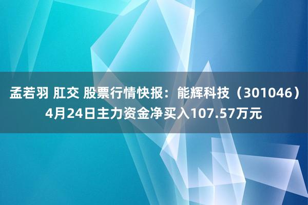 孟若羽 肛交 股票行情快报：能辉科技（301046）4月24日主力资金净买入107.57万元