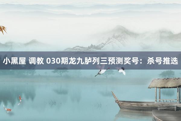 小黑屋 调教 030期龙九胪列三预测奖号：杀号推选