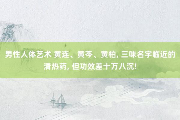 男性人体艺术 黄连、黄芩、黄柏， 三味名字临近的清热药， 但功效差十万八沉!