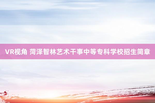 VR视角 菏泽智林艺术干事中等专科学校招生简章